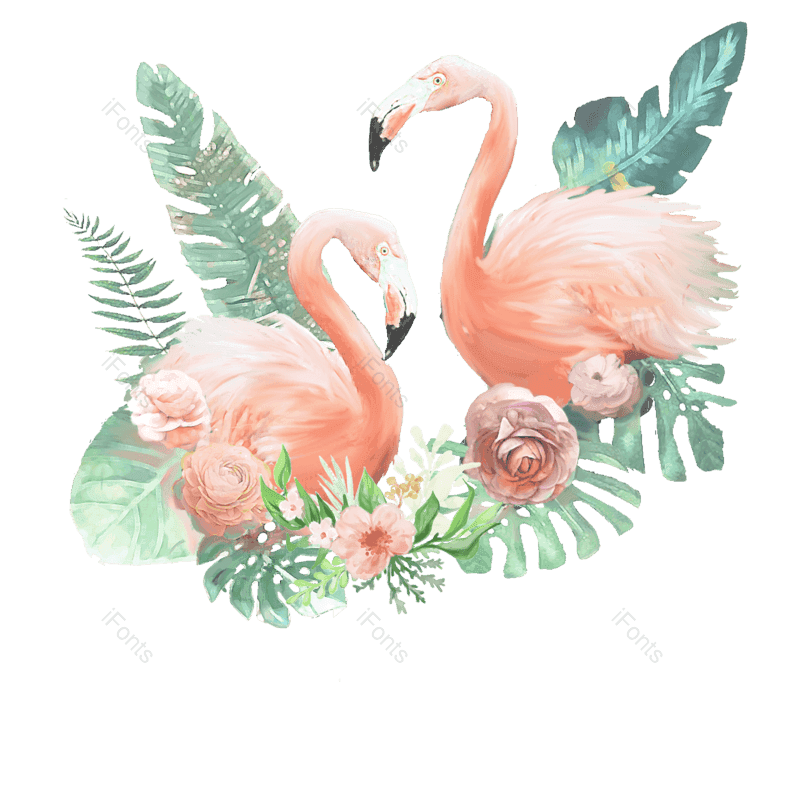装饰图片,插画元素,树叶PNG,动物免抠素材